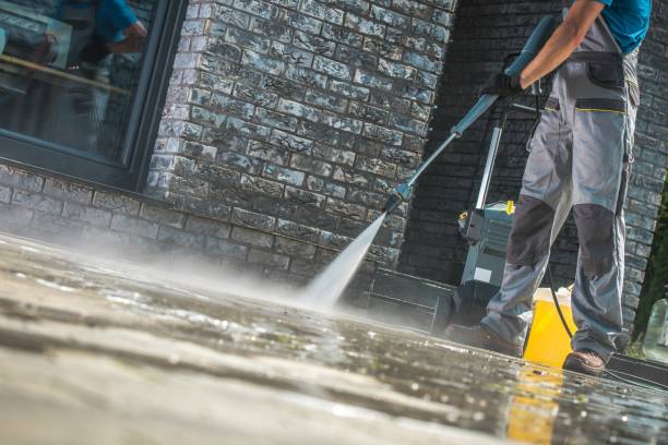 Best Soft Washing for Delicate Surfaces in Madisonville, TX