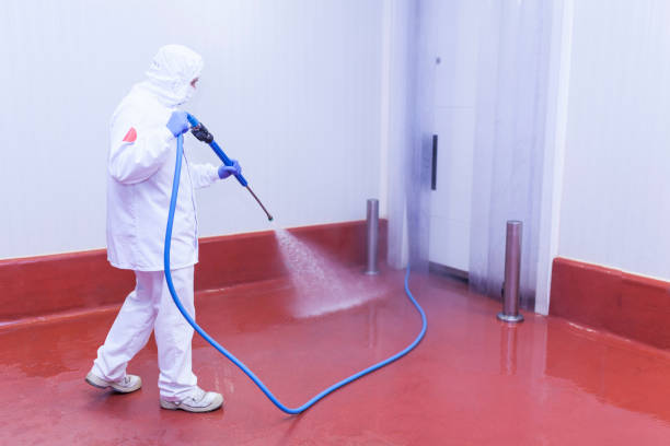 Best Building Exterior Pressure Washing in Madisonville, TX