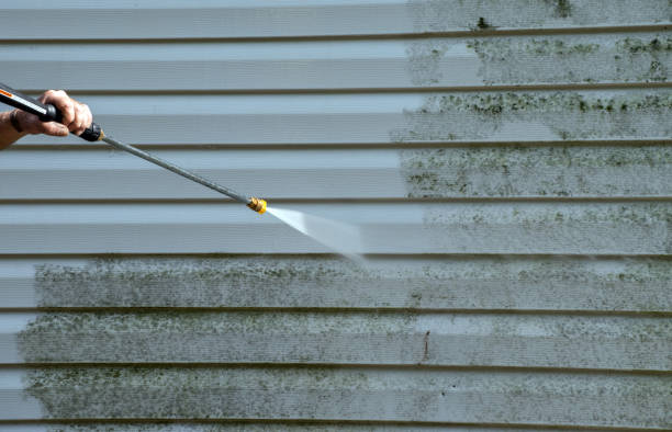 Best Driveway Cleaning and Restoration in Madisonville, TX