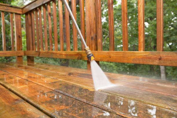 Best Roof Cleaning and Mildew Removal in Madisonville, TX